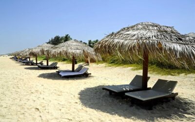 Fun Things to Do in Goa in November